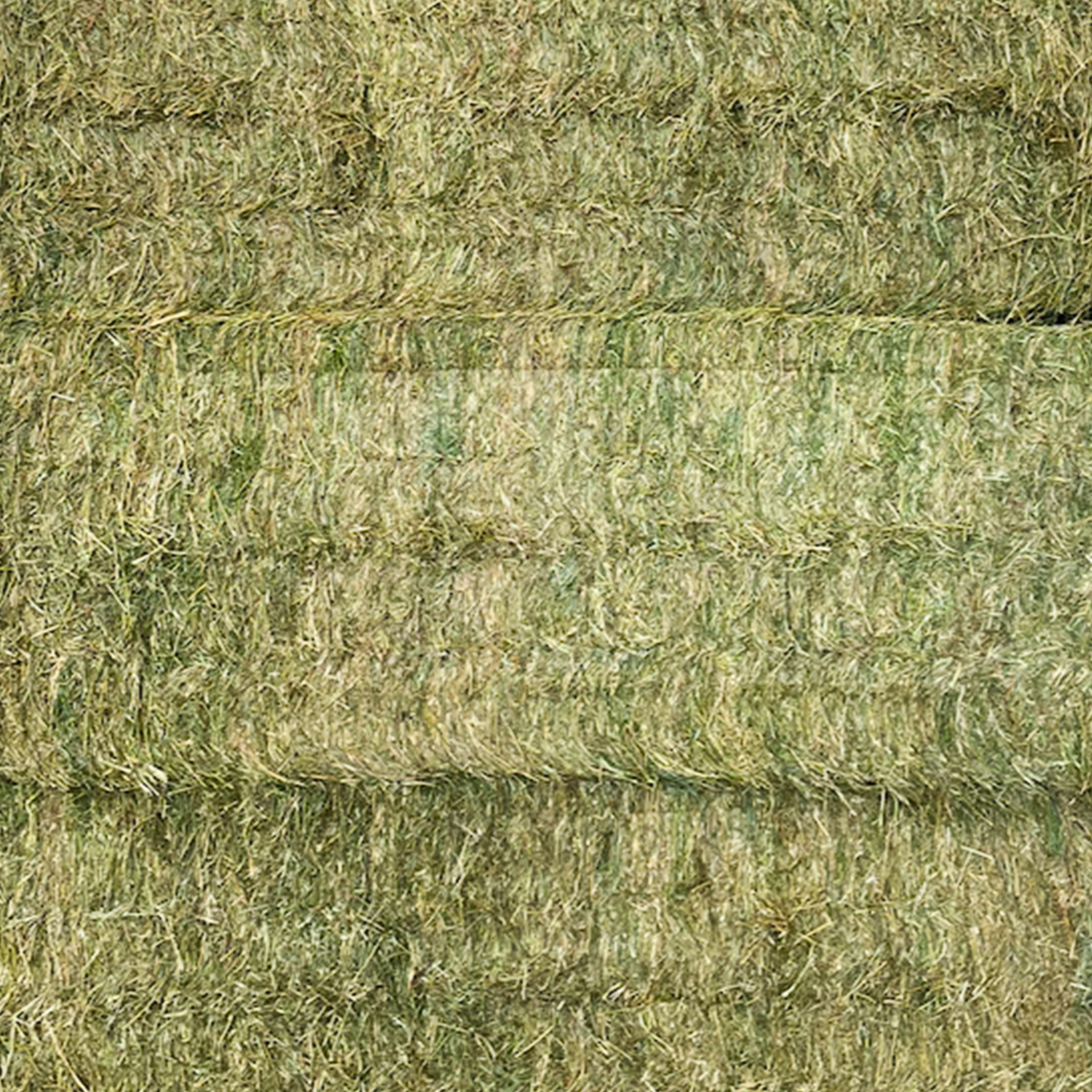Hay