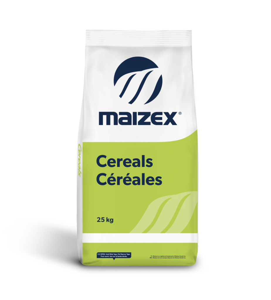 Cereal Seed