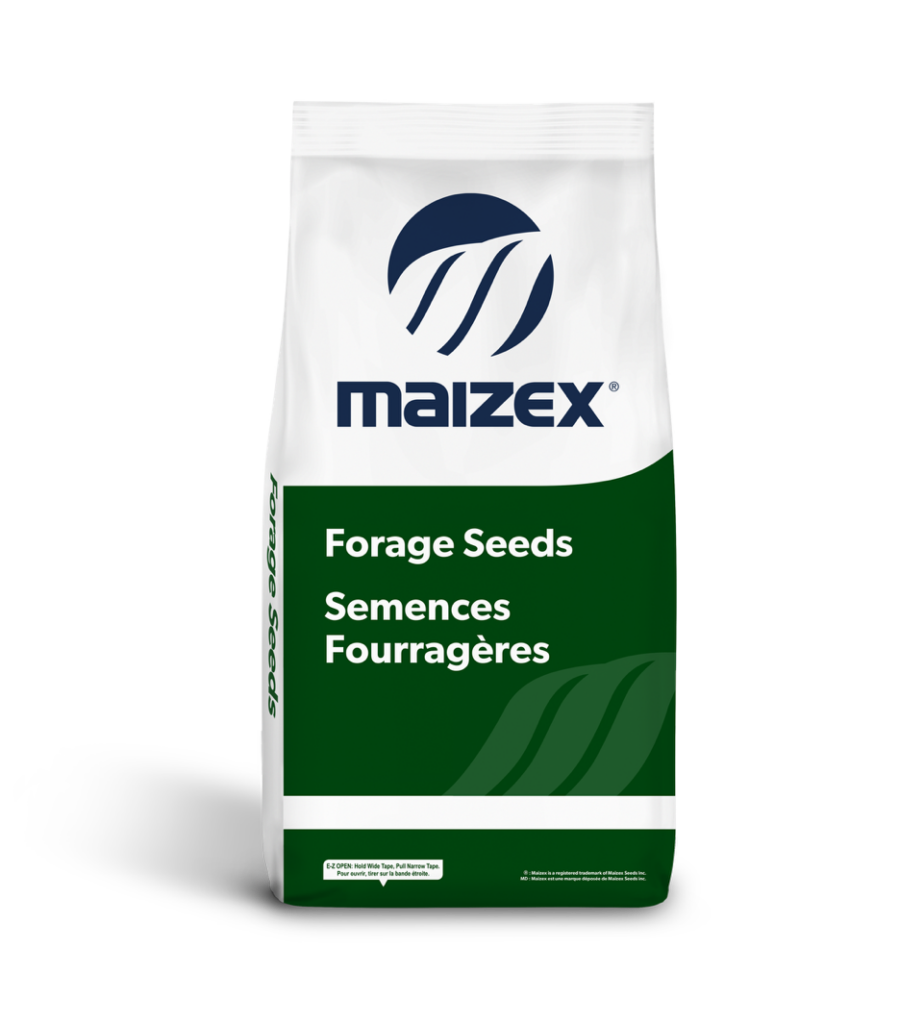 Forage Seed