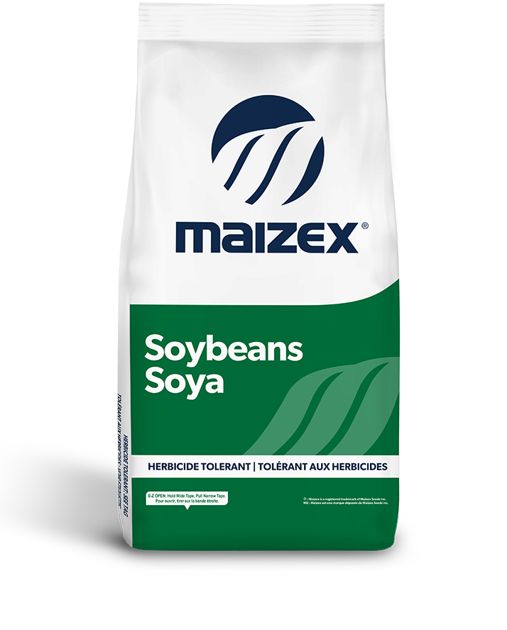 Soybean Seed